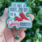 I’m Not A Hot Mess I’m A Spicy Disaster Badge Reel